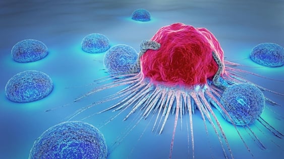 lymphocyte image-1